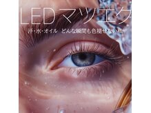 エミュ バイ ミュゼ ドゥ ソルシエール(emu. by Musee de Sorciere)