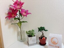 ビオーム 月と華(Bioom)の雰囲気（完全個室プライベートサロンです。）