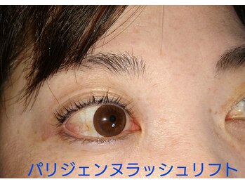 スプランドール(Splendeur)/