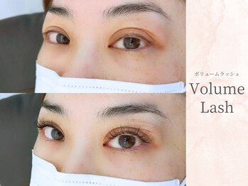 ステラ/ボリュームラッシュ