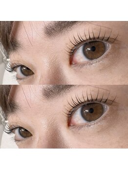 ビューティー アイラッシュ ベルウインク(Bellewink)/まつげパーマ