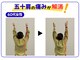 コグフィットの写真