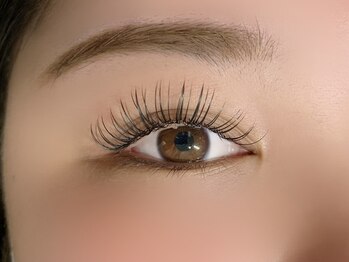 アンディ(ANDY)/フラットラッシュ120本