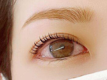 elio eyelash&brow【エリオ】まつげパーマ/マツエク/アイブロウ【3月中~(予定)】/ナチュラル上品/アイブロウ