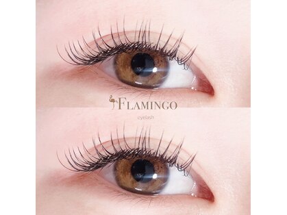 フラミンゴアイラッシュ(FLAMINGO eyelash)の写真