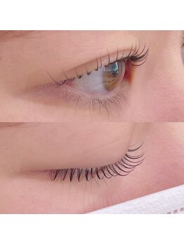 スターリー ラッシュ(Starry Lash)/美シルエットなデザイン