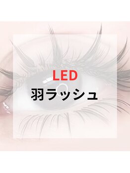 KIREI SHARE by princess rose マツエク/まつげパーマ/眉毛/メンズ/脱毛/フェイシャル/