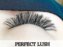 ミラーナ(Milana)/パ-フェクトラッシュ　１６０束