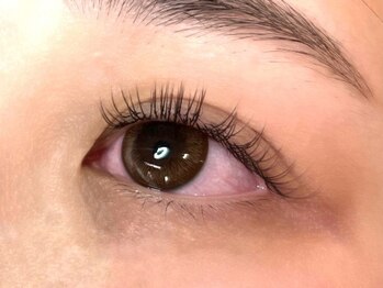 ウルカ アイラッシュ(uruka EYELASH)/フラットラッシュブラウン 120本