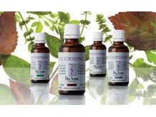 テトテ(TE to TE Natural Beauty & Relaxation)/ポールシェリー