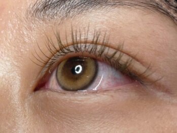 ウルカ アイラッシュ(uruka EYELASH)/フラットラッシュ 120本