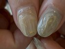 *インクニュアンス*