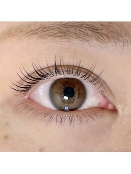 ヴィフ(Vif)/パリジェンヌラッシュリフト