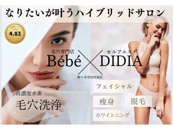 ベベクロスディディア 野々市市役所前店(Bebe×DiDiA)