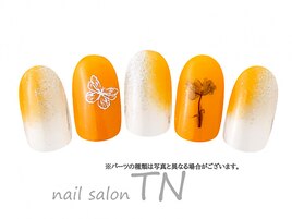 7月季節の定額6900円コ―ス