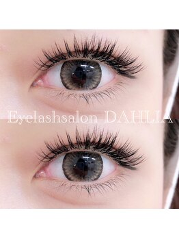 ダリア(DAHLIA)/フラットラッシュ