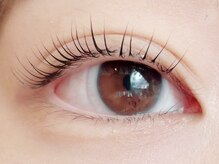 アイラッシュマルヴァ(Eye Lash Malva)/