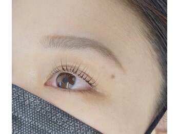 メイプル(Maple)/まつ毛パーマ