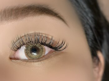 アンディ(ANDY)/フラットラッシュ160