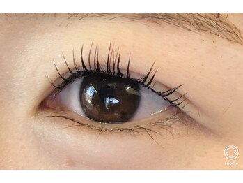 ルピナス(LUPINAS)/ロイヤルラッシュリフト上下