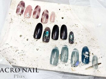 【過去定額】トレンドコース