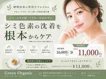 グリーンオーガニック(Green Organic)の雰囲気（韓国発☆レーザーを使わないシミケア導入！）