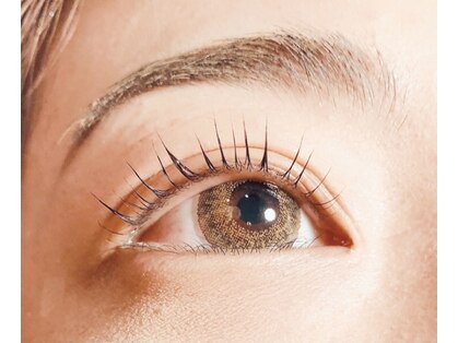 アイリーフ(eyeleaf)の写真