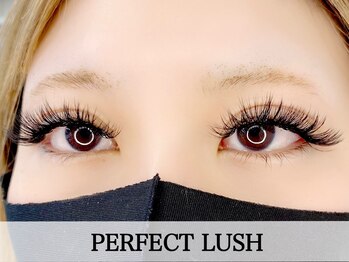 ミラーナ(Milana)/パ-フェクトラッシュ 160束