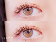 高級抗菌セーブル100本