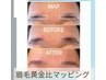 垢ぬけ眉に★【アイブロウ】黄金比分析診断/眉毛Wax/間引き　¥5500→¥4700