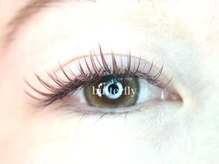 バタフライ(butterfly)