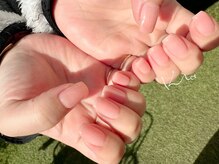 クレー(Klee)/美ワンカラー