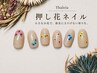 AYU限定【押し花ネイル】お一人様1回のみ ￥5500