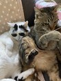 ジュベル 三鷹店(je belle) 実家で猫を2匹飼っています!猫好きです♪
