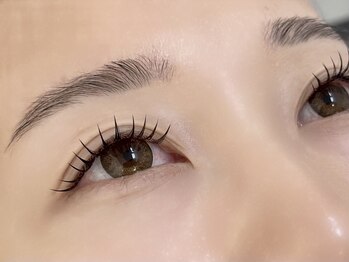 ルピナス 川口(Lupinus)/フラットラッシュ120本