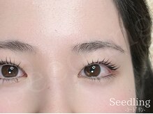 シードリン(Seedling)/まつげパーマ