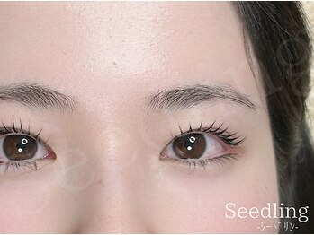 シードリン(Seedling)/まつげパーマ