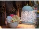 プレシャスタイム(Precious Time)の写真