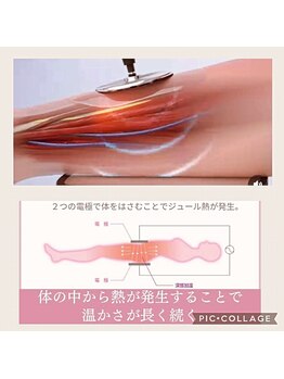 ラ ヴィ リッシュ(La vie riche)/indibaで内臓機能改善