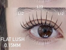 ビーナスベルト 池袋(VENUS BELT)/フラットラッシュ