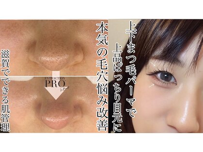 プリュム(Plume)の写真