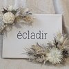 エクラディール(ecladir)のお店ロゴ