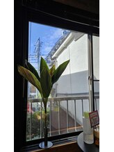 ミホズルーム(Miho‘s room)/日曜日は朝活蒸し