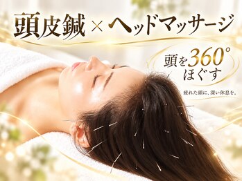 トウヨウビジン 美容鍼灸サロン(TOYO BIJIN)の写真/【頭皮鍼×360°ヘッドマッサージ】睡眠不足/脳疲労/眼精疲労/疲れた頭を鍼×手技でやさしくほぐします。