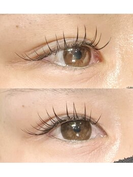 リグ(rig')/フラットラッシュ