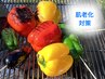 【2回目以降の方 限定/ 肌の老化対策ケア 専門鍼 】鍼40分 11000円→9900円