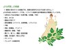 【温活ダイエット】お得な♪よもぎ蒸し50分×2回メニューの2回目予約　0円