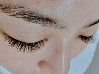 ムートン(mouton)/フラットマット120束(240本)