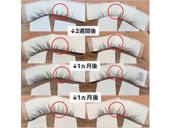 アイラッシュサロン マナ(MANA)/3stepトリートメント施術後比較
