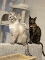 アイユーサロン(愛YOUsalon) うちのやんちゃ兄弟☆